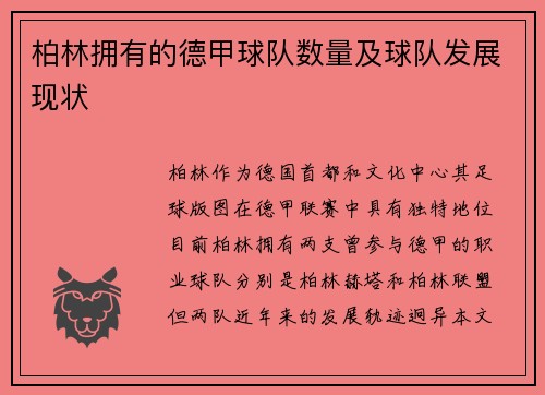 柏林拥有的德甲球队数量及球队发展现状